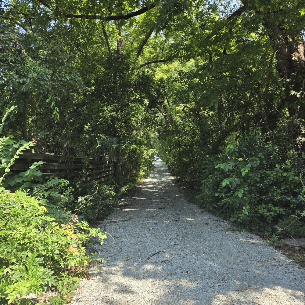 Meet your Posher, Stef!